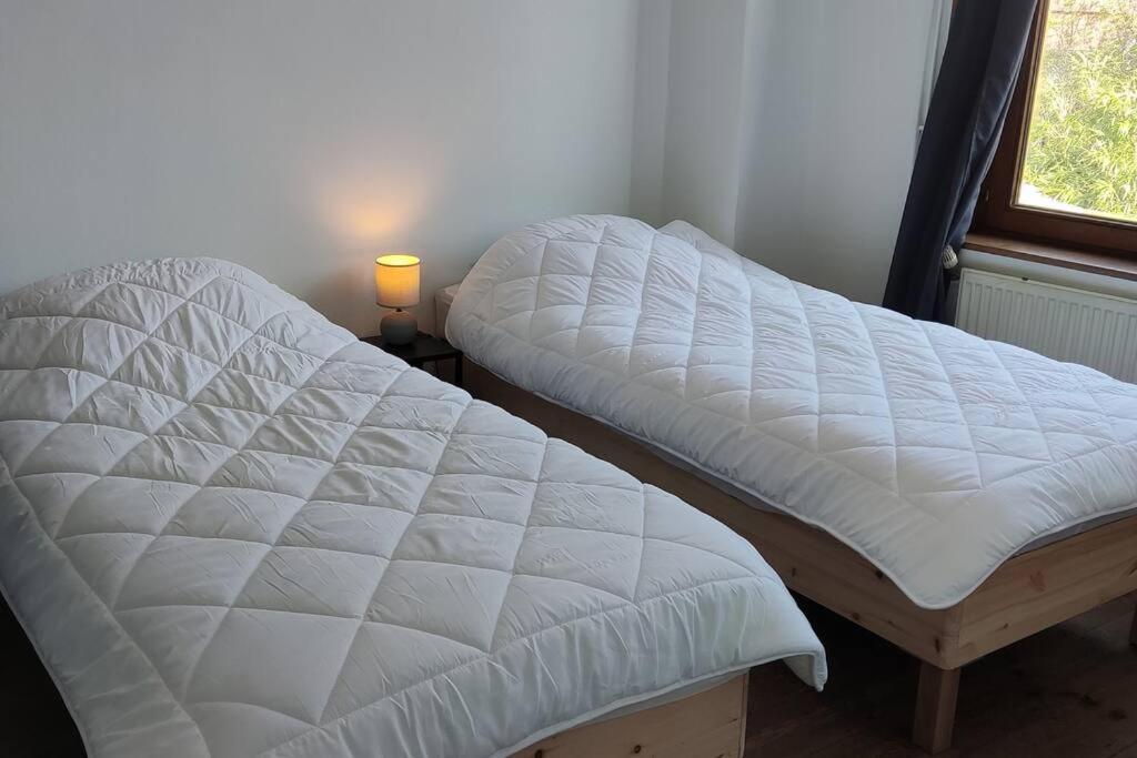 Maison Ronchin/Lille - Proche Toutes Commodites Extérieur photo